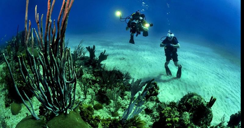  Hacer buceo en Cozumel 