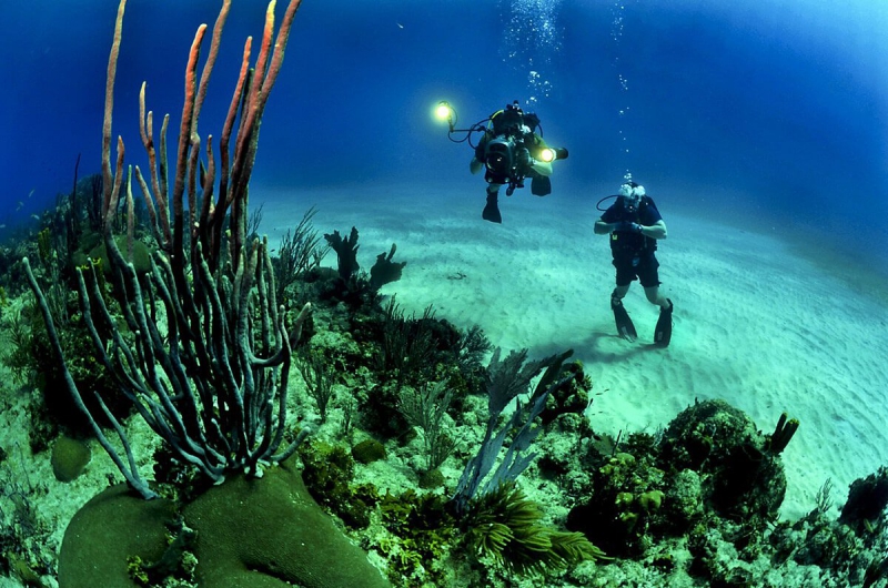  Hacer buceo en Cozumel 