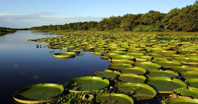 Uno de los mayores atractivos de Iberaacute es vivenciar la cultura iberentildea a traveacutes de estas actividades
