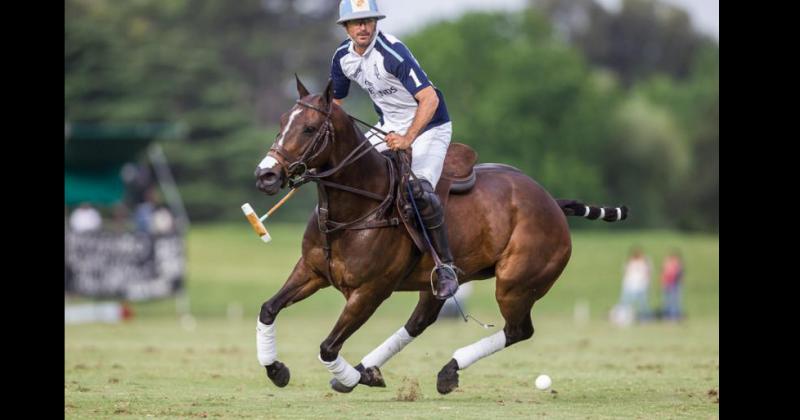 Transferencia embrionaria